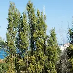 Casa El Castanal Con Piscina Privada Vigo