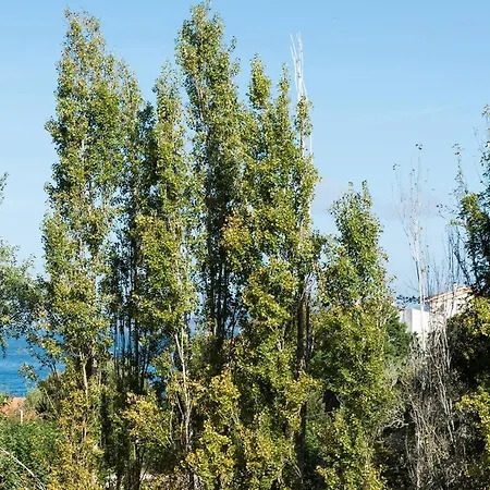 Casa El Castanal Con Piscina Privada Vigo