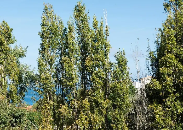 Casa El Castanal Con Piscina Privada Vigo